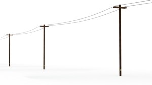 dreamstime_xs_31395734